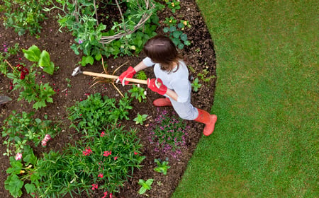 Woman weeding her garden